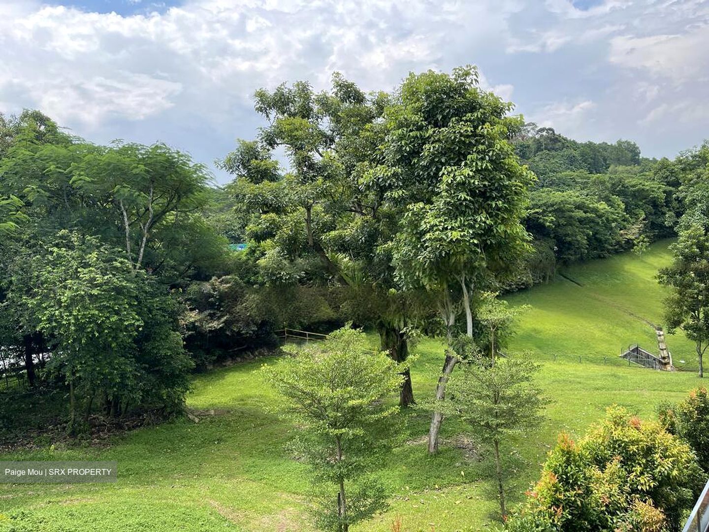 Bukit Way (D21), Detached #454861171